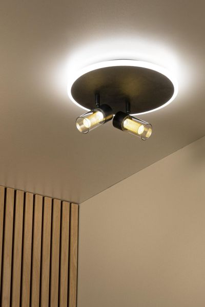 Lucide EVERINA - Flush ceiling light - Ø 30 cm - LED Dim. - CCT - 2200K/6500K - Black